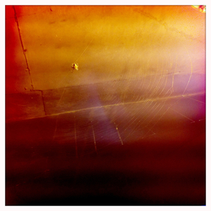 Hip 336353653.677332