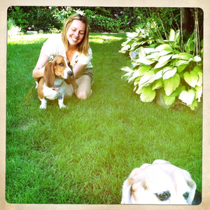 Hip 336176346.322913