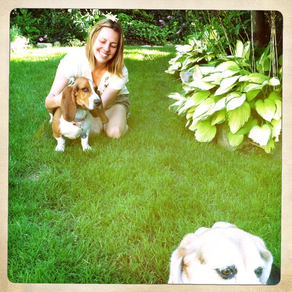 Hip 336176346.322913