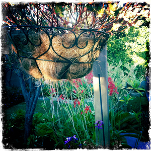 Hip 336361767.394494