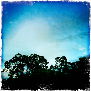 Hip 336364861.412415