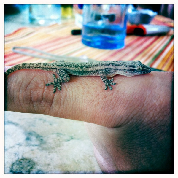 Hip 336176780.340807