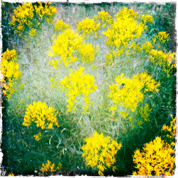 Hip 336345927.648250