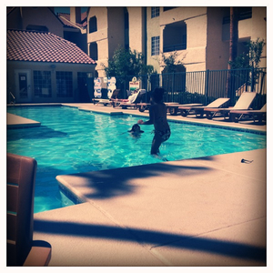 Hip 323387444.533656