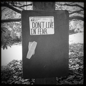 Hip 336337463.403153