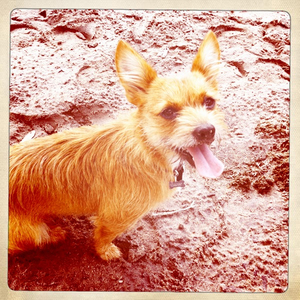 Hip 333300652.089232