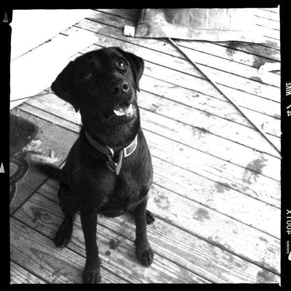 Hip 333400164.126880