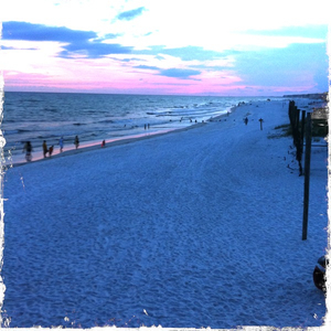 Hip 334543465.124442