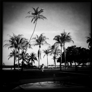 Hip 317944817.539812