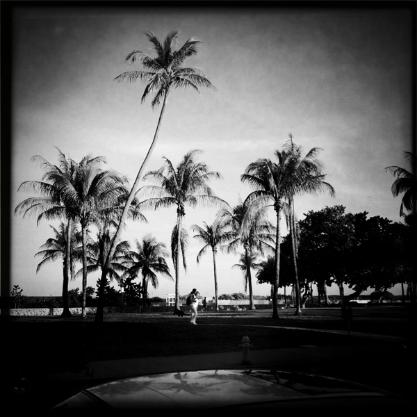 Hip 317944817.539812