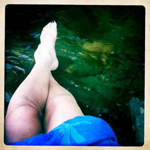 Hip 335558816.818569