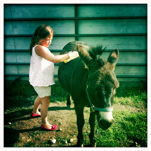 Hip 336353173.980486