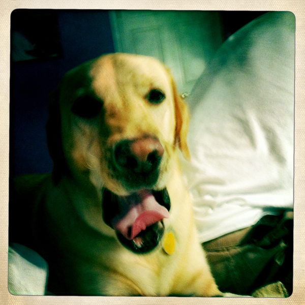 Hip 335236506.353903