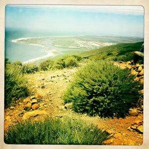 Hip 328648297.021574