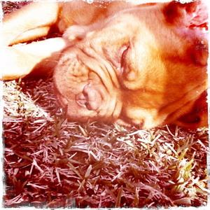 Hip 336372772.529737