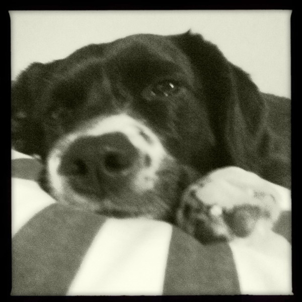 Hip 336373578.208186