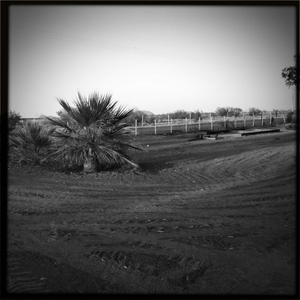 Hip 336100891.299513