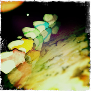 Hip 336374779.059996