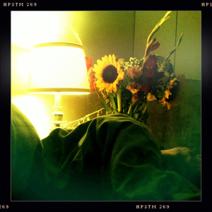 Hip 336379295.353247