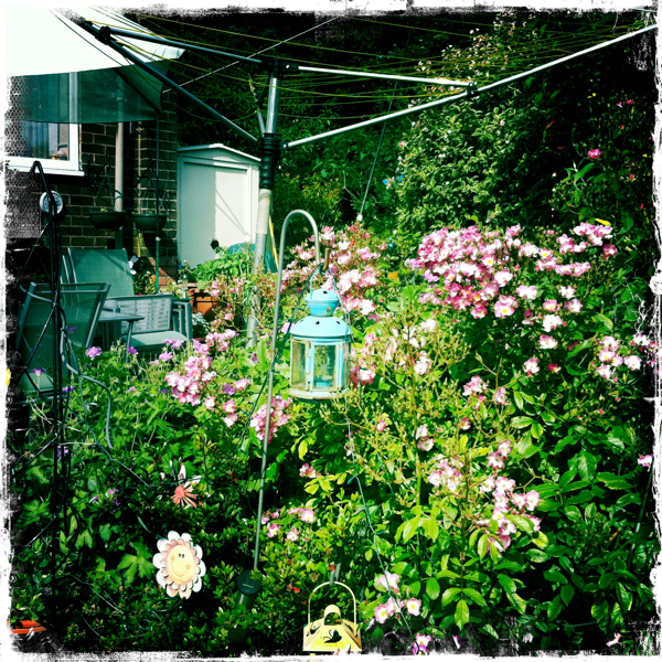 Hip 330277463.604120