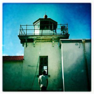 Hip 336269659.208638