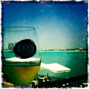 Hip 333718676.019280