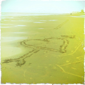 Hip 336232831.003954