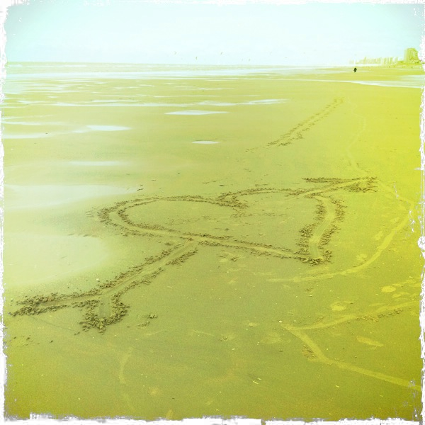 Hip 336232831.003954