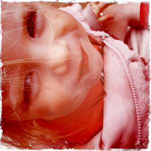 Hip 336323081.909153