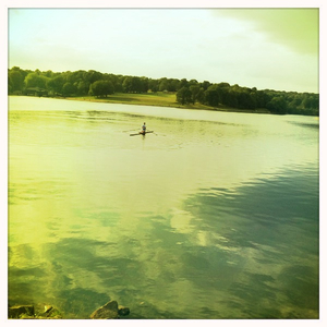 Hip 330284465.523247