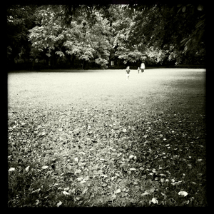 Hip 336380553.363988