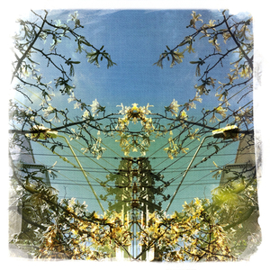 Hip 336146998.552919