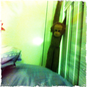 Hip 336393976.772416