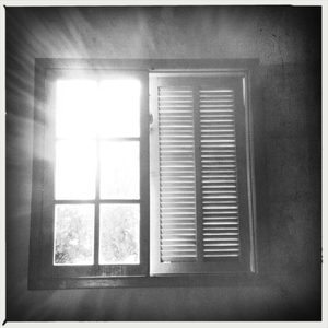 Hip 336395303.156450