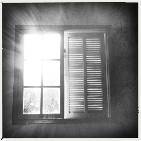 Hip 336395303.156450