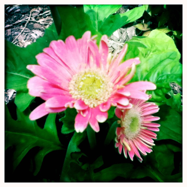 Hip 331495865.875543