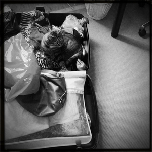 Hip 329675313.398224