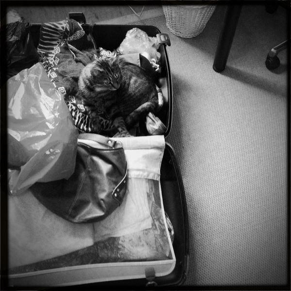 Hip 329675313.398224