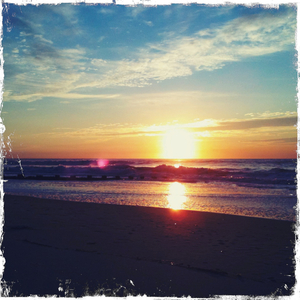 Hip 336393512.343713