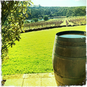 Hip 332316702.981458