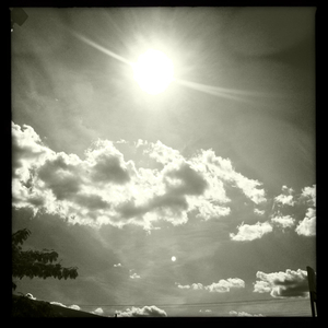 Hip 335737188.906554