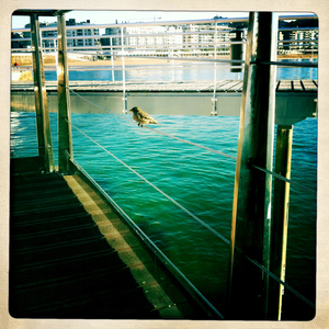 Hip 309974531.111748