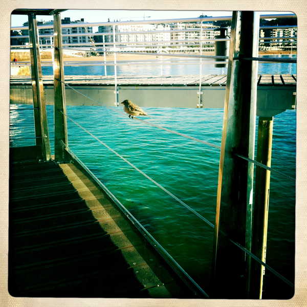 Hip 309974531.111748