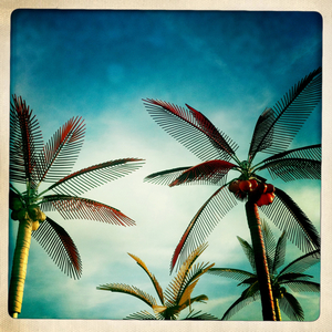 Hip 336268084.562182