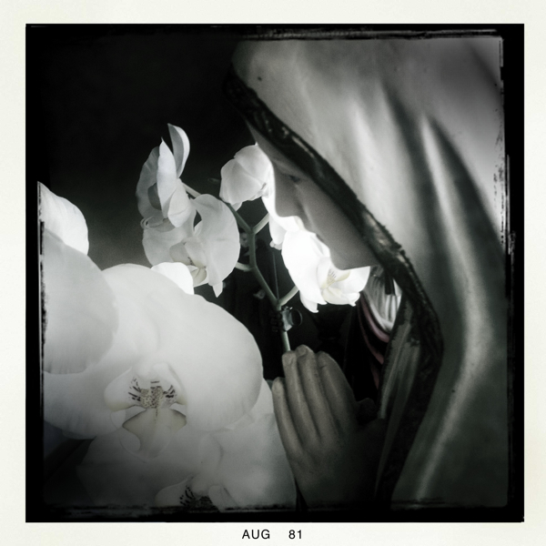 Hip 336257473.605236