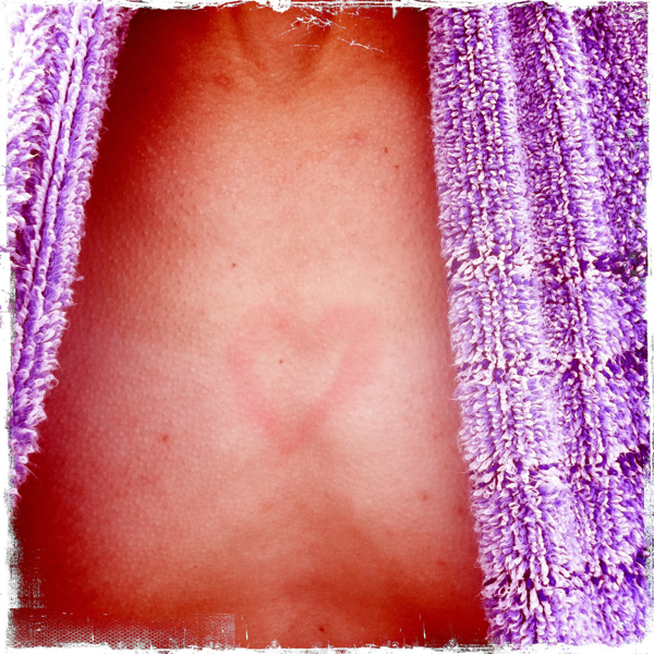 Hip 336246906.160745