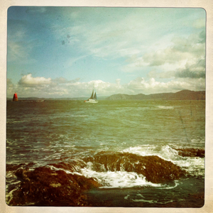 Hip 336230546.361701