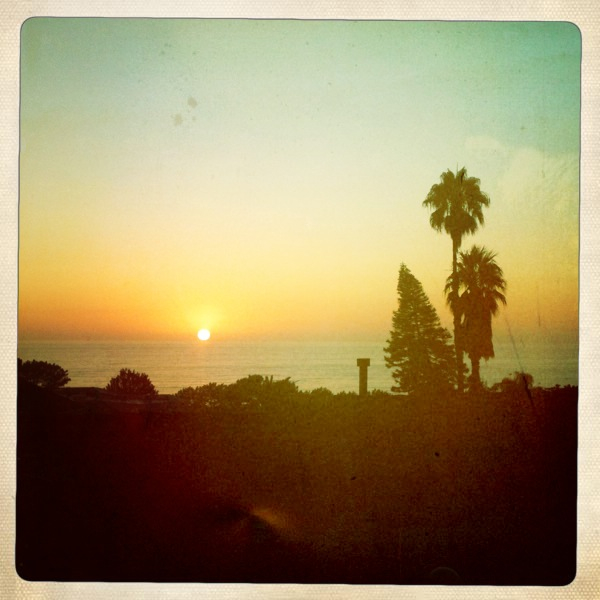 Hip 336190735.563564