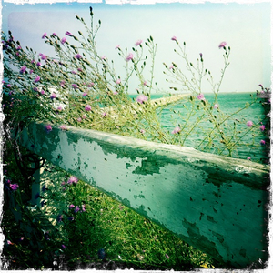 Hip 332970717.843614