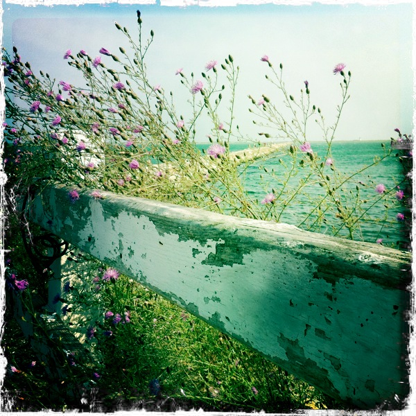 Hip 332970717.843614